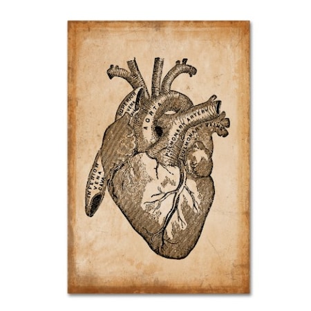 Vintage Lavoie 'Anatomy 8' Canvas Art,12x19